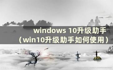 windows 10升级助手（win10升级助手如何使用）